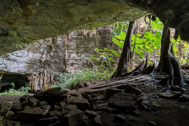 Un itinéraire unique pour explorer la biodiversité exceptionnelle et les trésors culturels du Congo.