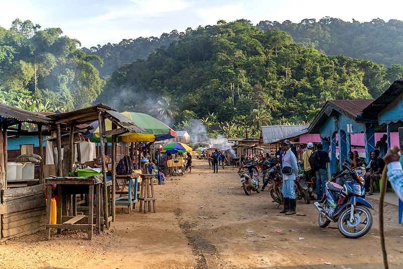 Un itinéraire unique pour explorer la biodiversité exceptionnelle et les trésors culturels du Congo.