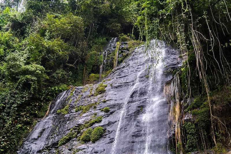 Un itinéraire unique pour explorer la biodiversité exceptionnelle et les trésors culturels du Congo.