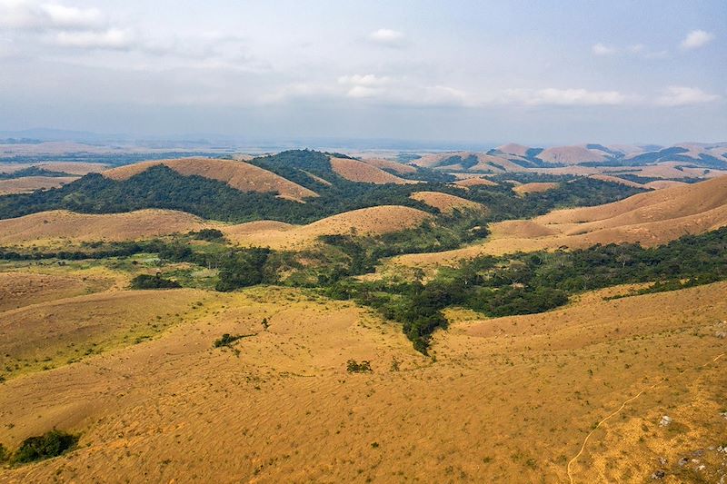 Un itinéraire unique pour explorer la biodiversité exceptionnelle et les trésors culturels du Congo.