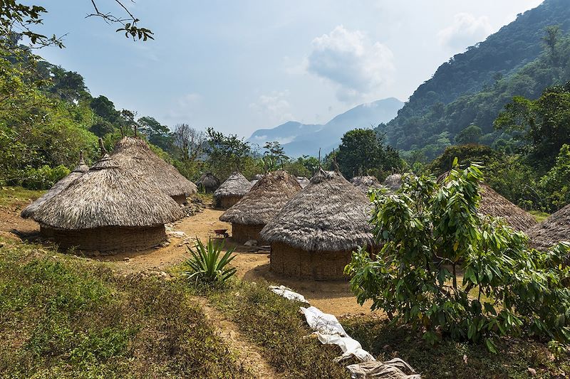 Village Kogi dans la Sierra Nevada de Santa Marta - Colombie