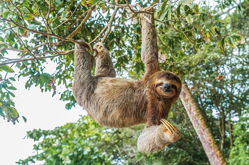 Un voyage multi-activités en famille du Costa Rica au Nicaragua à travers jungle, volcans et plages de l’océan Pacifique!