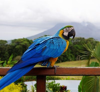 Autotour Costa Rica