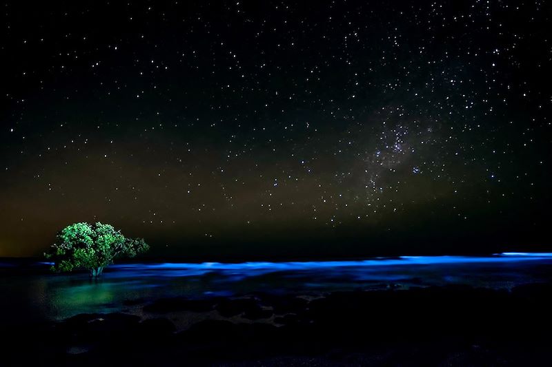 Plancton luminescent - Costa Rica