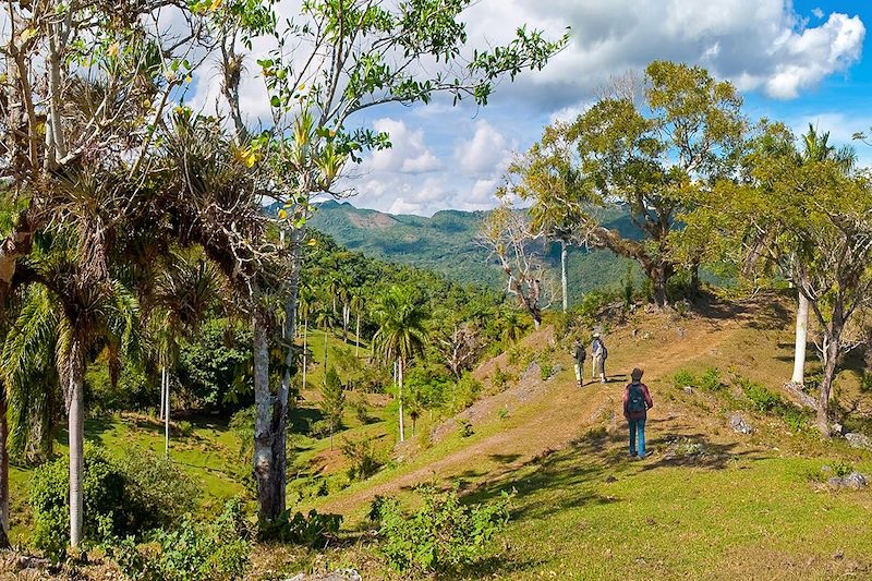 Le parc naturel de Topes de Collantes dans l'Escambray - Cuba