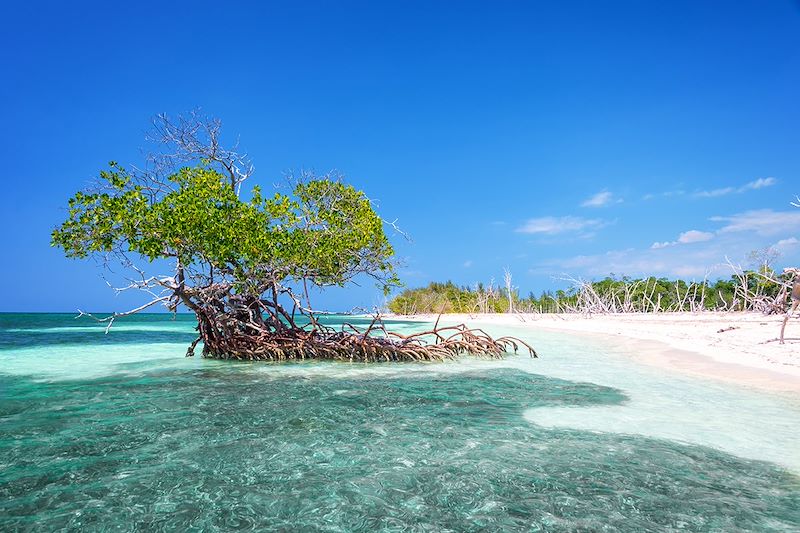 Les incontournables de Cuba en 10 jours : La Havane, Trinidad, vallée de Viñales, l'Escambray, cascades et mer des Caraïbes