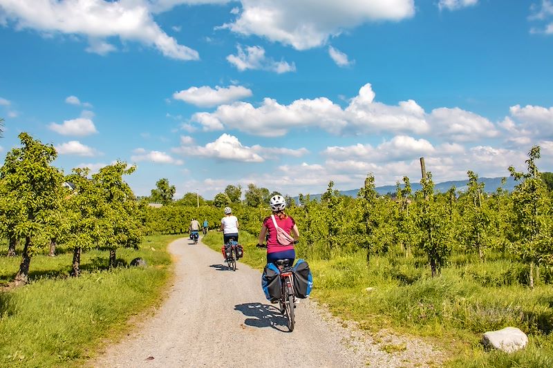 Boucle à vélo à la découverte des incontournables du lac de Constance, une aventure entre l'Allemagne, la Suisse et l'Autriche.