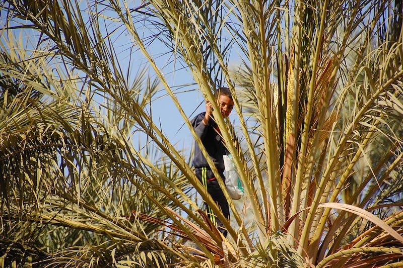 Enfant à Ghardaïa - Algérie