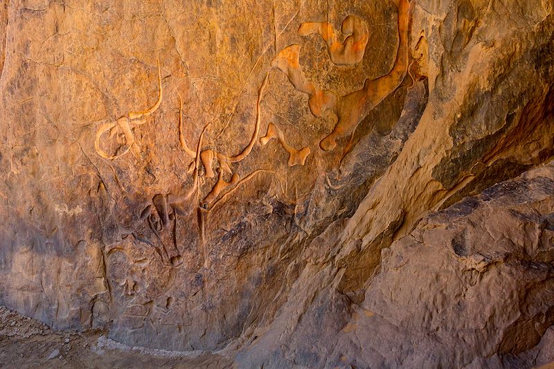 Un voyage en 4x4 au cœur du grand Sahara algérien, le Tassili n'Ajjer et ses secrets les plus cachés en hébergement confort !