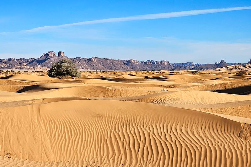 Un voyage en 4x4 au cœur du grand Sahara algérien, le Tassili n'Ajjer et ses secrets les plus cachés en hébergement confort !