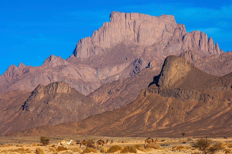 Garet el Djenoun - Massif de la Tefedest - Algérie