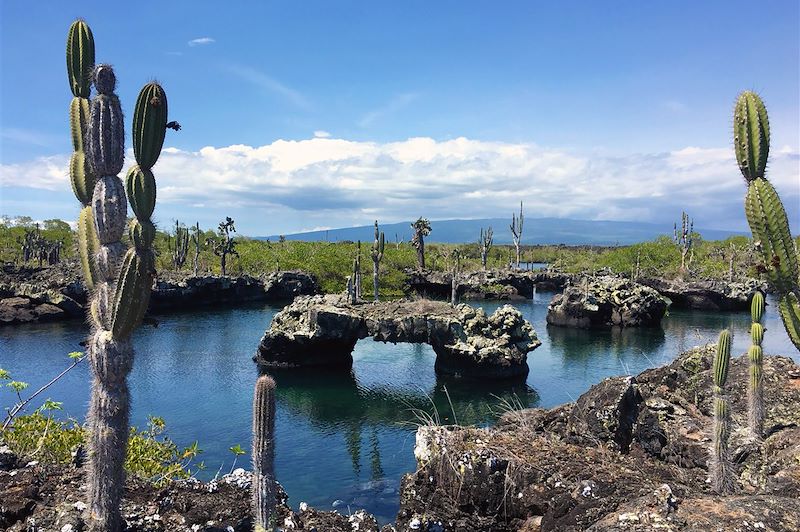 Sur les traces de Darwin, voyage entièrement dédié à la magie du plus fameux des sanctuaires naturels: l’archipel des Galápagos