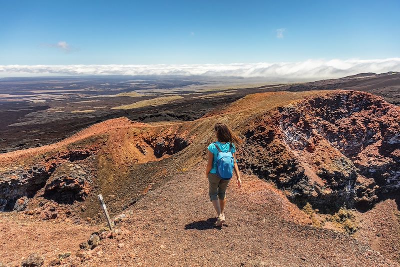 Sur les traces de Darwin, voyage entièrement dédié à la magie du plus fameux des sanctuaires naturels: l’archipel des Galápagos