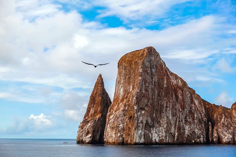 Sur les traces de Darwin, voyage entièrement dédié à la magie du plus fameux des sanctuaires naturels: l’archipel des Galápagos