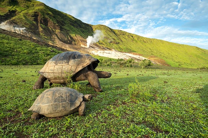 Sur les traces de Darwin, voyage entièrement dédié à la magie du plus fameux des sanctuaires naturels: l’archipel des Galápagos