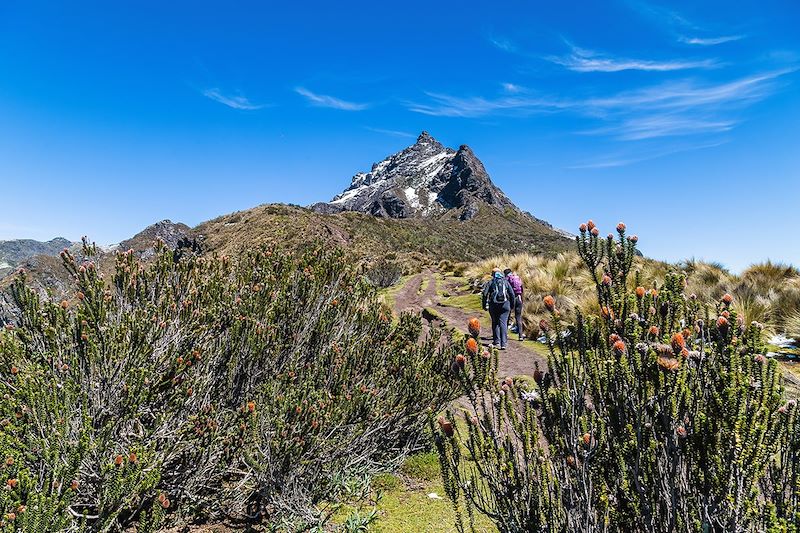 Un itinéraire de randonnées au cœur de l’Allée des Volcans, entre géants andins, marchés artisanaux et communautés !