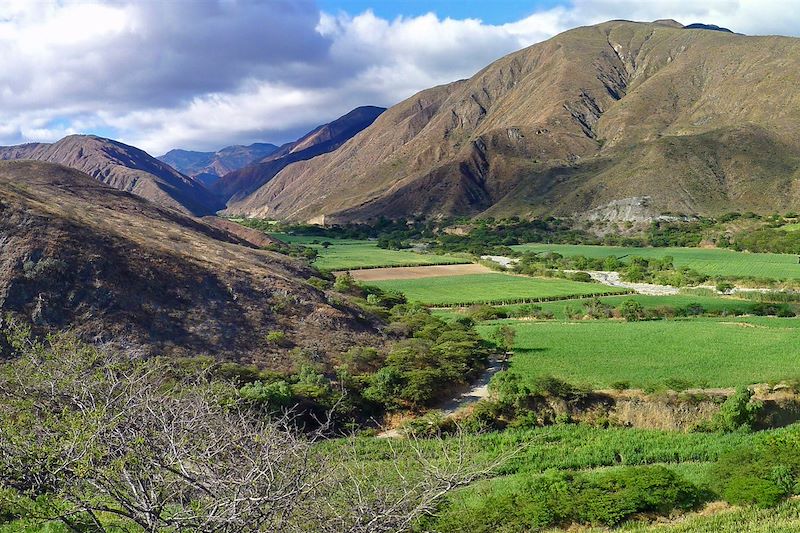 Découverte authentique et colorée du plus intime des pays andins, entre volcans, lagunes, forêt amazonienne et marchés artisanaux!