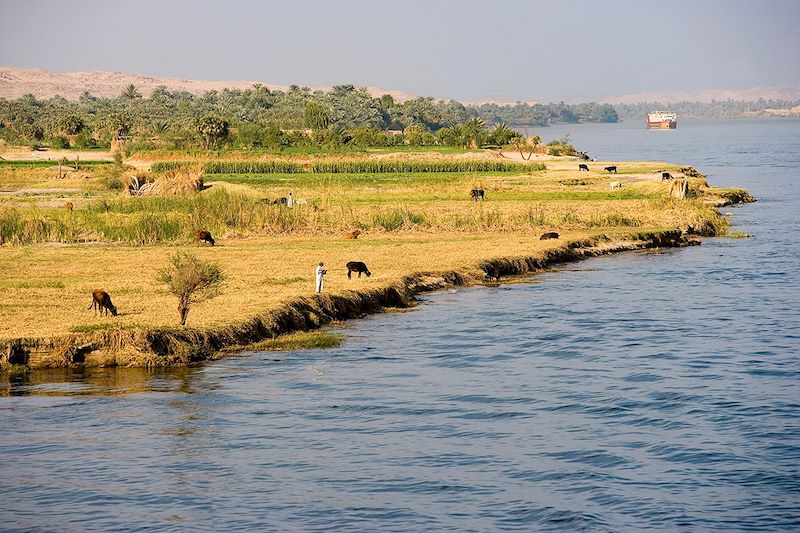 Sur les rives du Nil - Égypte