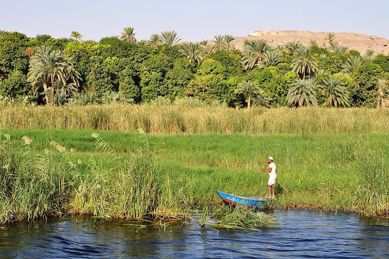 Sur les bords du Nil - Égypte