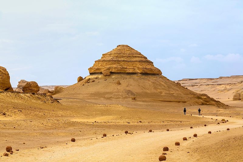 Vallée des Baleines (Wadi Al-Hitan) - Égypte