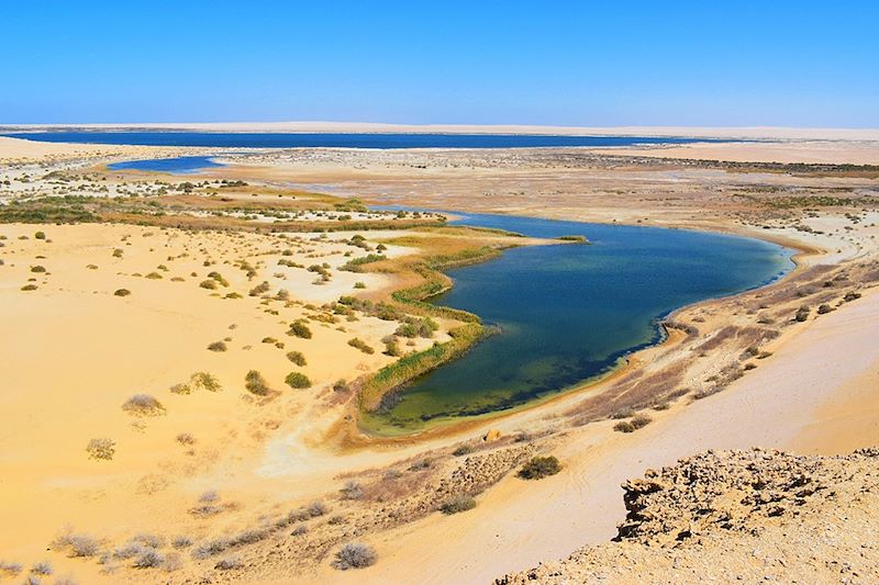 Oasis du Fayoum - Égypte