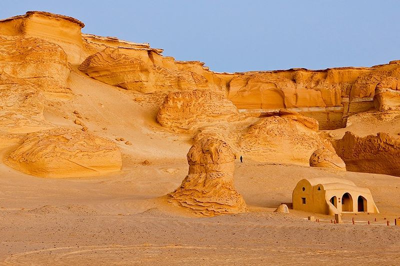 Pyramides et Oasis avec Amandine Marshall 