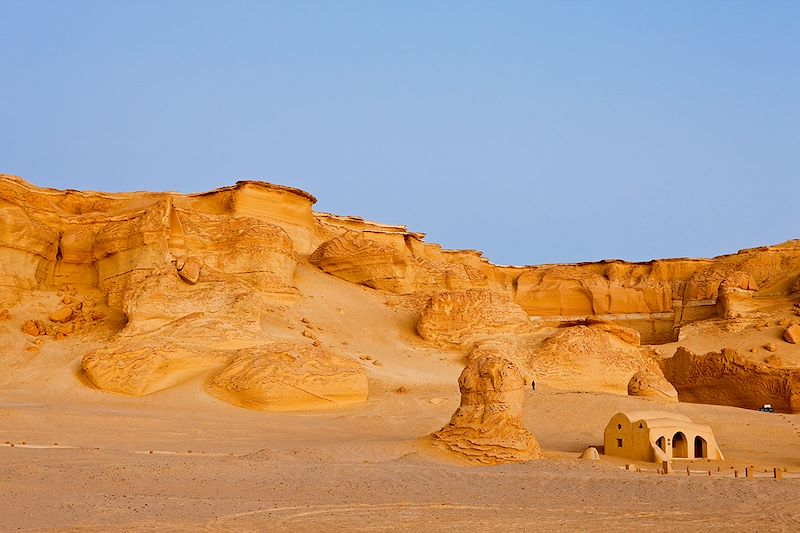 Exploration des oasis égyptiennes et du désert blanc : entre nature, histoire et paysages désertiques