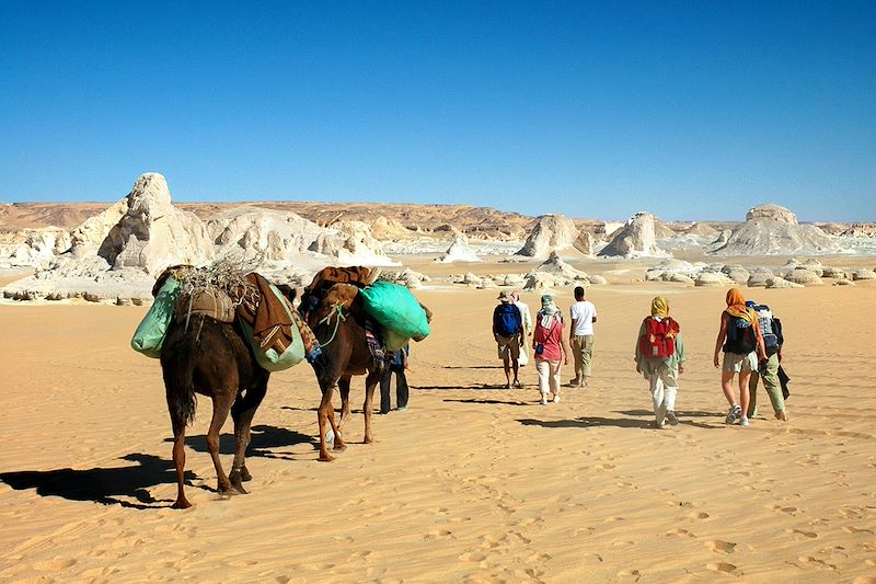 Exploration des oasis égyptiennes et du désert blanc : entre nature, histoire et paysages désertiques