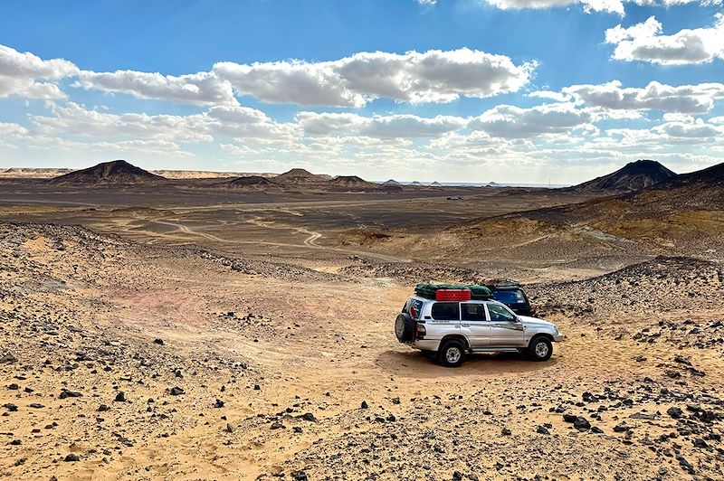 Exploration des oasis égyptiennes et du désert blanc : entre nature, histoire et paysages désertiques