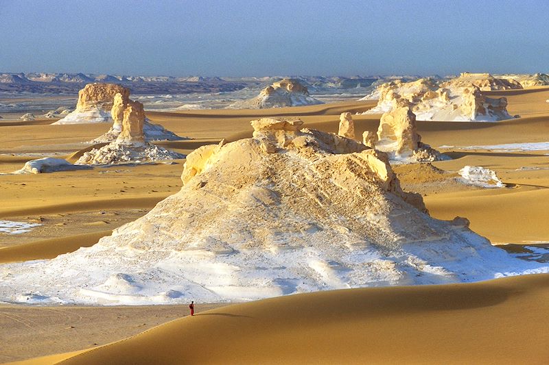 Exploration des oasis égyptiennes et du désert blanc : entre nature, histoire et paysages désertiques