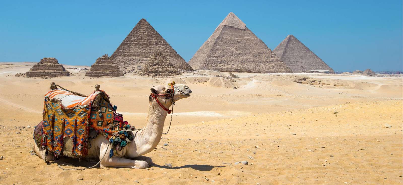 Trek - Un sandal pour le Nil et pyramides de Gizeh