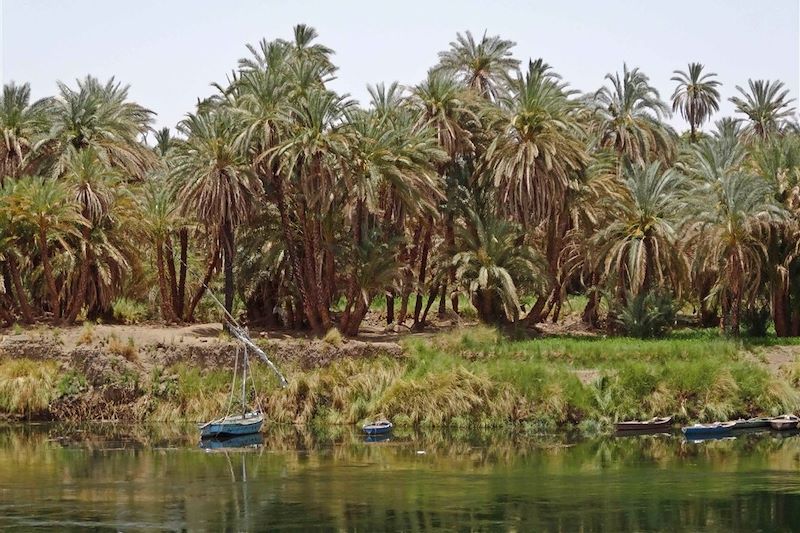 Sur le Nil - Egypte