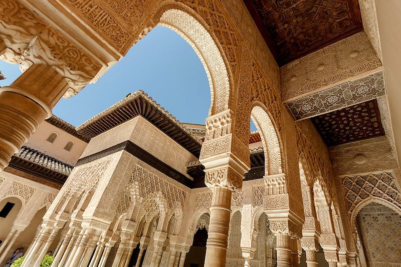 Palais de l'Alhambra - grenade - Espagne