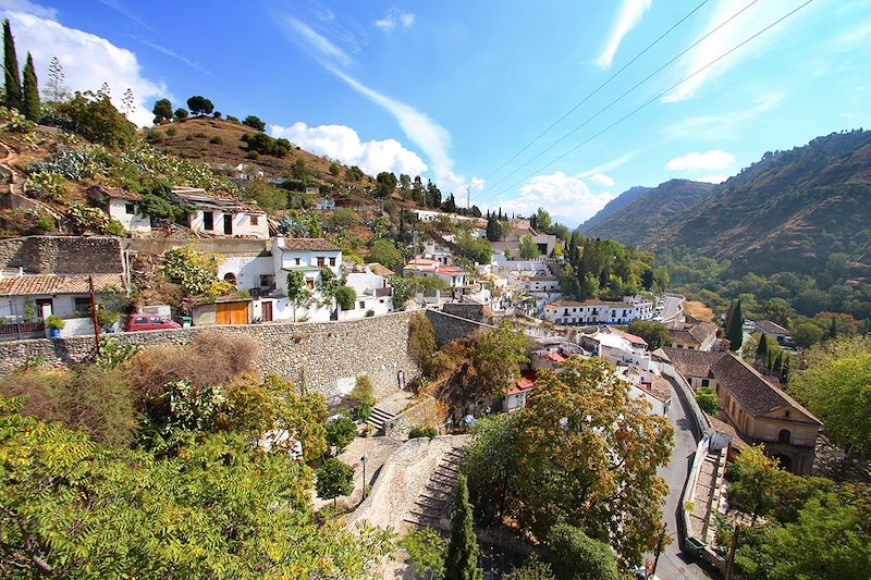 Séjour culinaire en Andalousie entre Grenade et Séville : une escapade gourmande aux mille saveurs !  