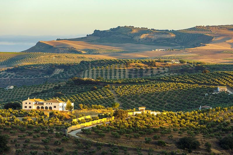 Séjour culinaire en Andalousie entre Grenade et Séville : une escapade gourmande aux mille saveurs !  