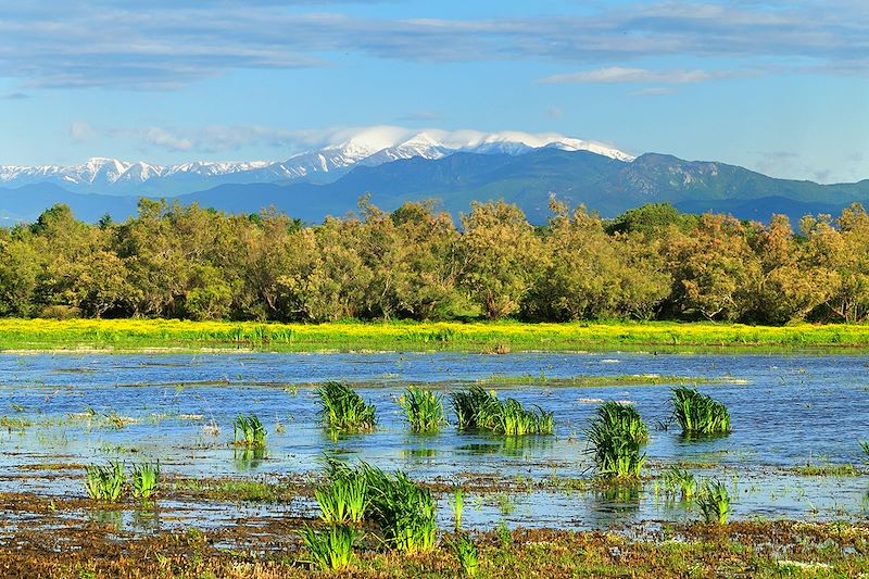 Une aventure au départ de Gérone mêlant chemins gravel, paysages méditerranéens et villages pittoresques