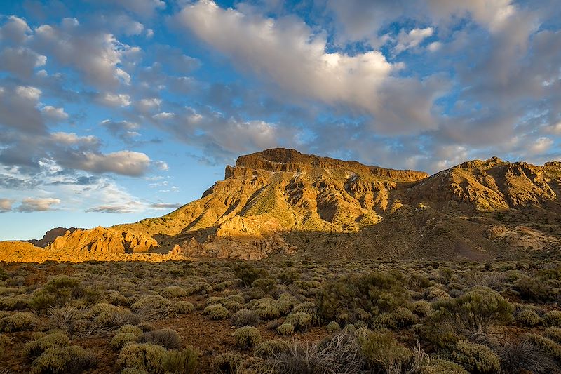 Combiné de deux îles complémentaires Tenerife et la Gomera entre paysages volcaniques et forêt subtropicale