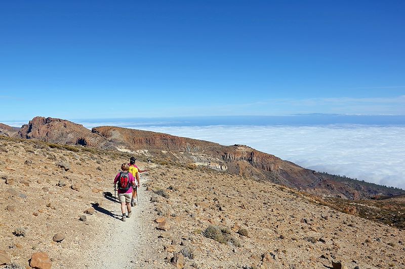 Combiné de deux îles complémentaires Tenerife et la Gomera entre paysages volcaniques et forêt subtropicale