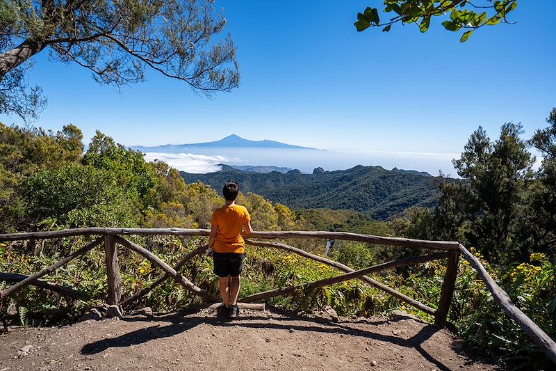 Combiné de deux îles complémentaires Tenerife et la Gomera entre paysages volcaniques et forêt subtropicale