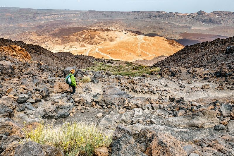 Combiné de deux îles complémentaires Tenerife et la Gomera entre paysages volcaniques et forêt subtropicale