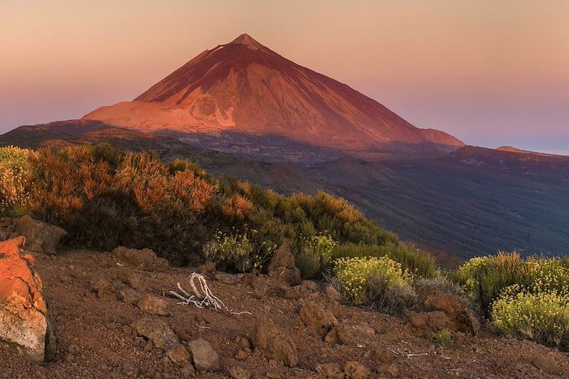 Combiné de deux îles complémentaires Tenerife et la Gomera entre paysages volcaniques et forêt subtropicale