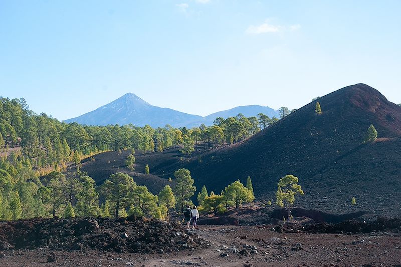 Combiné de deux îles complémentaires Tenerife et la Gomera entre paysages volcaniques et forêt subtropicale