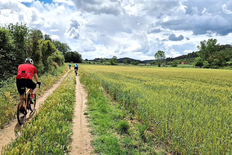 Partez en voyage sur votre gravel sur les routes de la Catalogne pour y découvrir la gastronomie, les paysages et vignobles