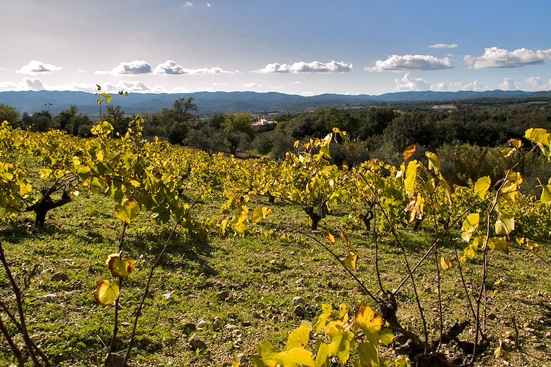 Partez en voyage sur votre gravel sur les routes de la Catalogne pour y découvrir la gastronomie, les paysages et vignobles