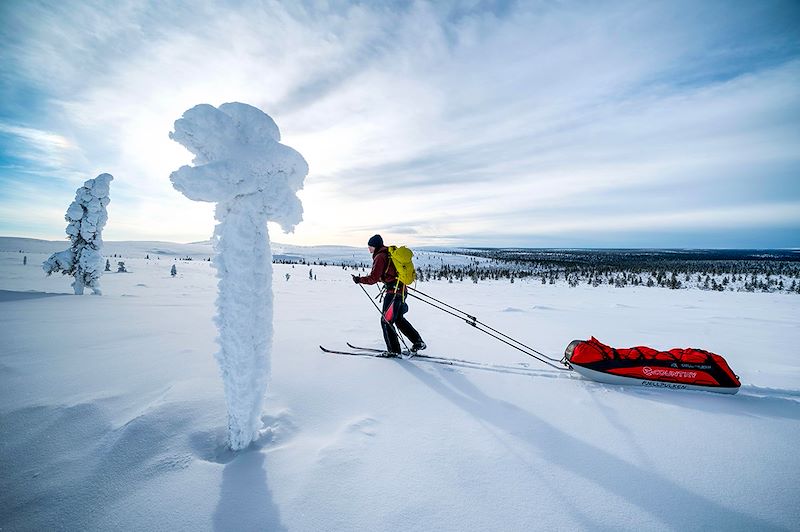 Ski pulka en Laponie - Finlande