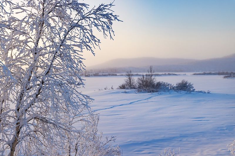 Plongez au cœur de ces pays scandinaves