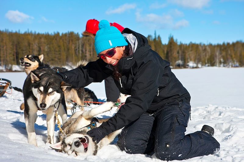 Huskies dans le Parc national de Hossa - Finlande