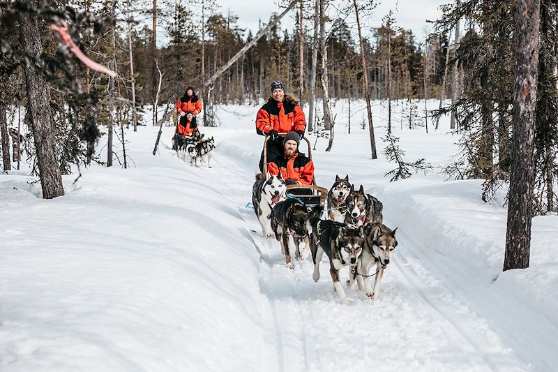 Traîneaux à chiens en Laponie - Finlande