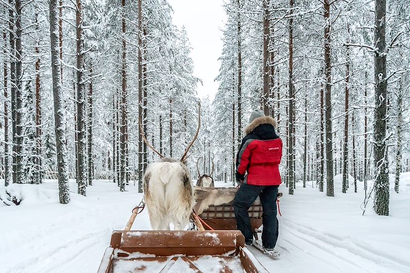 Féerie et Magie à Rovaniemi