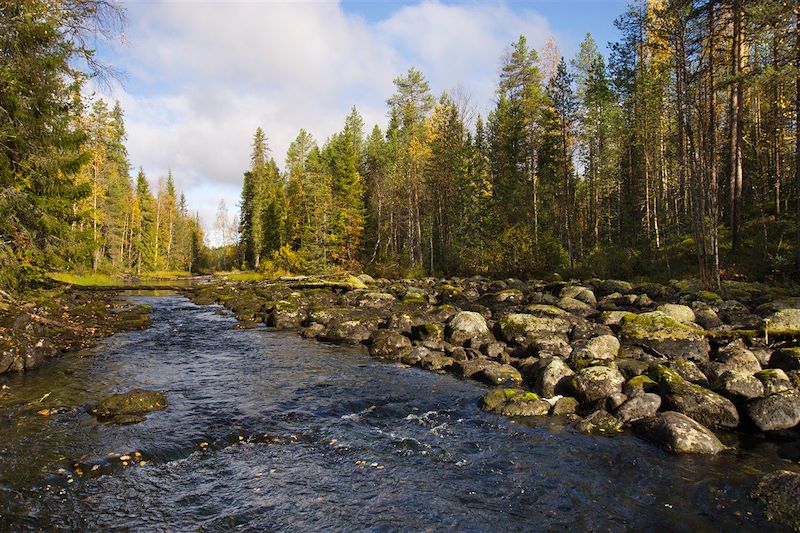 Immersion en Laponie, nature, rando et sauna